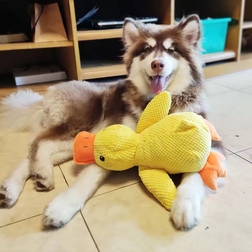 Kalmerende Eend - Voor het Geluk en Welzijn van Uw Hond