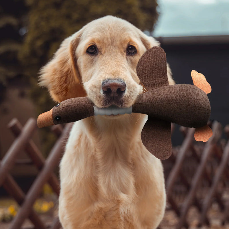 Zacht pluche eend hondenspeelgoed voor pups en kleine honden. Ideaal voor speelplezier en comfort.