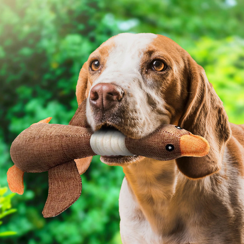 Interactief pluche eendenspeelgoed voor honden. Perfect zacht kauwspeelgoed voor pups en speelse huisdieren.
