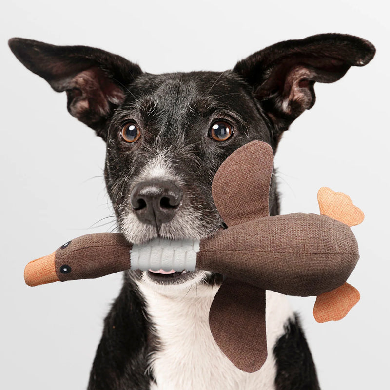 Duurzaam pluche eend hondenspeelgoed. Zacht maar stevig speelgoed voor interactief spelen en knuffelen met je huisdier.