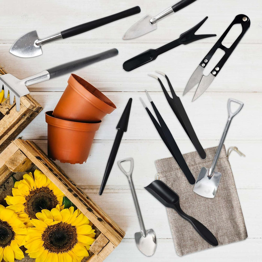 Complete tuingereedschapset voor vetplanten en kamerplanten. 12 essentiële tools voor optimale verzorging.