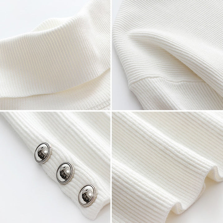 Verschillende kleuren van de stijlvolle dames turtleneck trui
