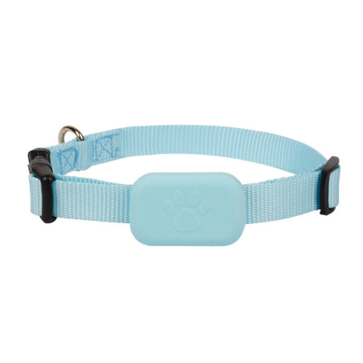 Compacte GPS tracker voor honden en katten. Real-time tracking en waterbestendig voor de veiligheid van je huisdier.