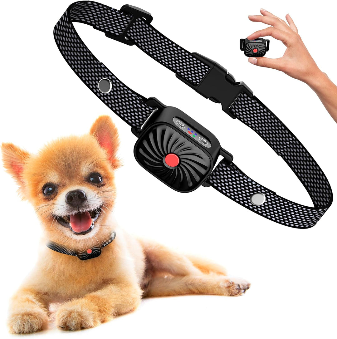 Anti-blaf halsband voor kleine honden. Effectieve, diervriendelijke blafcontrole en hondentraining.