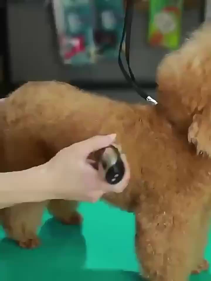 "Draadloze huisdiertrimmer met scherp keramisch mes, USB oplaadbaar, fluisterstil voor honden- en kattenverzorging."