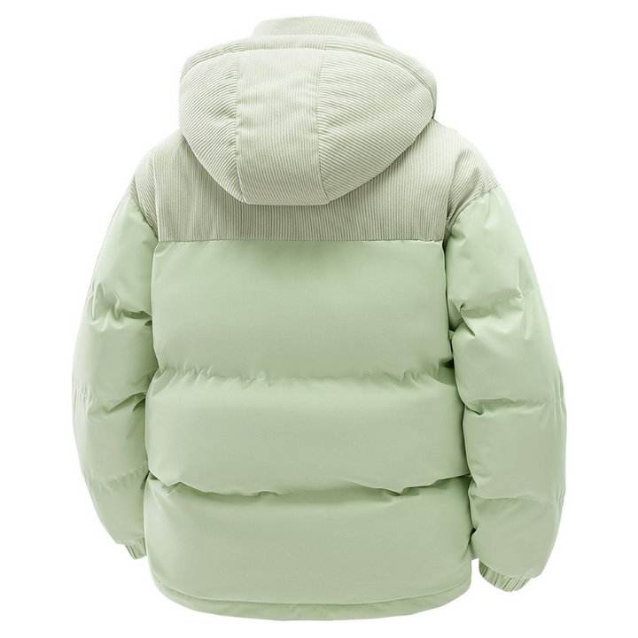 Casual heren winterjas met capuchon, gewatteerd, warm en stijlvol voor dagelijks gebruik.