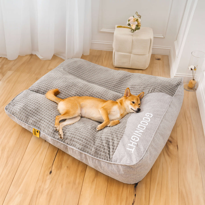 Grote hond ligt vredig op comfortabel orthopedisch hondenbed met nekondersteuning.