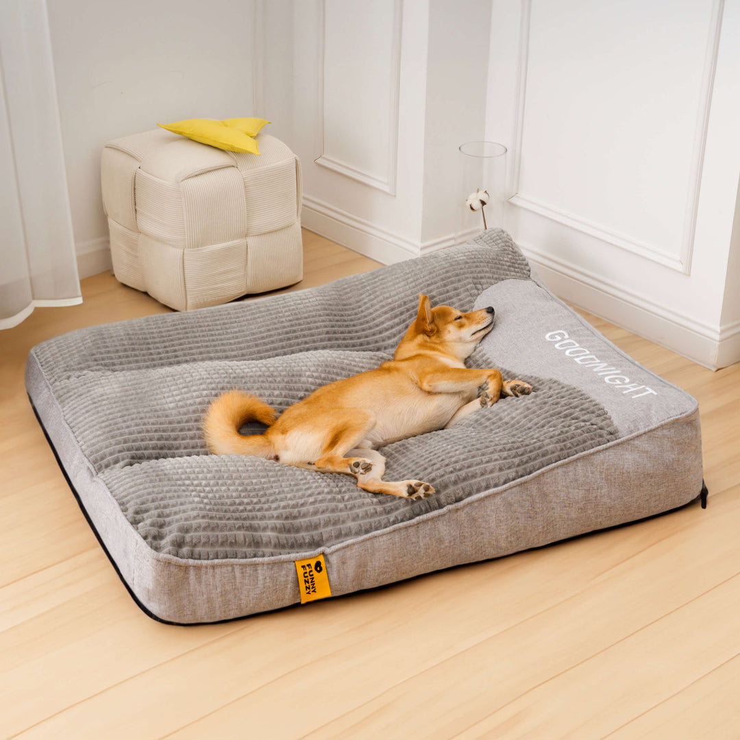 Orthopedisch hondenbed verlicht pijn bij grote honden met gewrichtsproblemen, wasbaar en stevig.