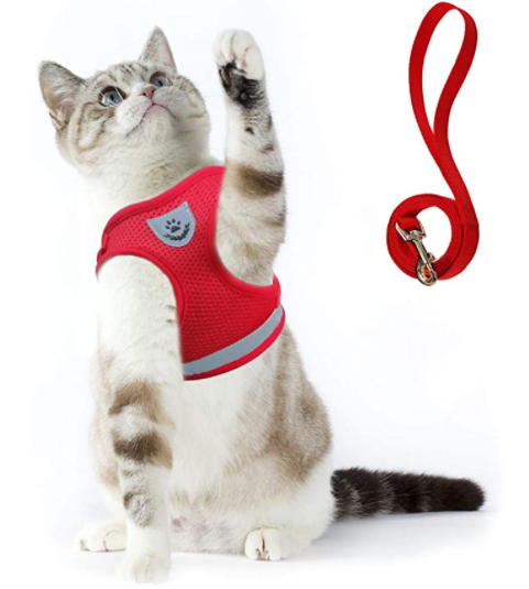 "Kattentuigje in blauw en rood, ademend materiaal met reflecterende stroken, uitbraakbestendig voor avontuurlijke wandelingen