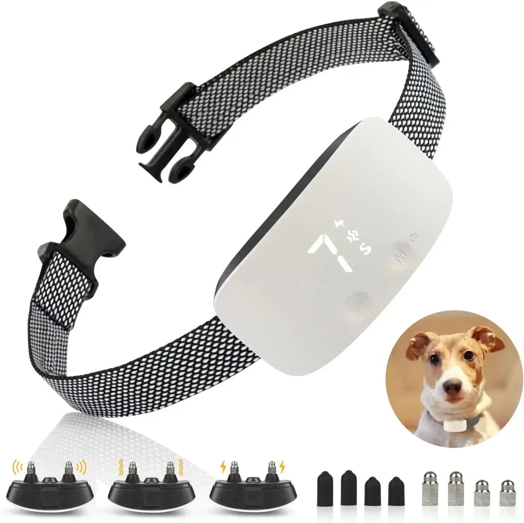 Hond draagt waterdichte anti-blafhalsband, bevordert gehoorzaamheid en kalmte tijdens speeltijd buiten.