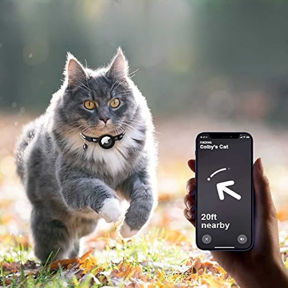 Halsband met GPS-trackerhouder, toont een rennende kat in de natuur met mobiele tracking.