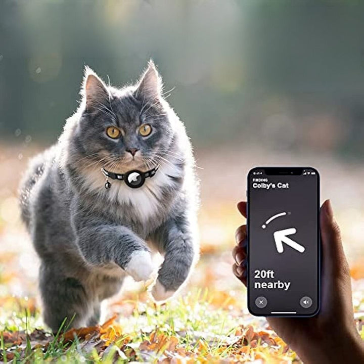 Halsband met GPS-trackerhouder, toont een rennende kat in de natuur met mobiele tracking.