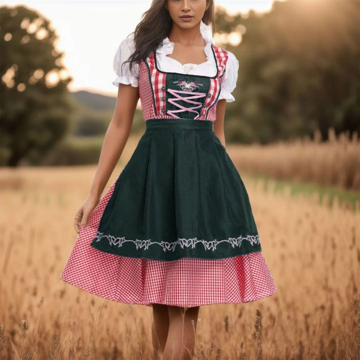 Dames geruite Oktoberfest dirndl jurk gedragen in een veld
