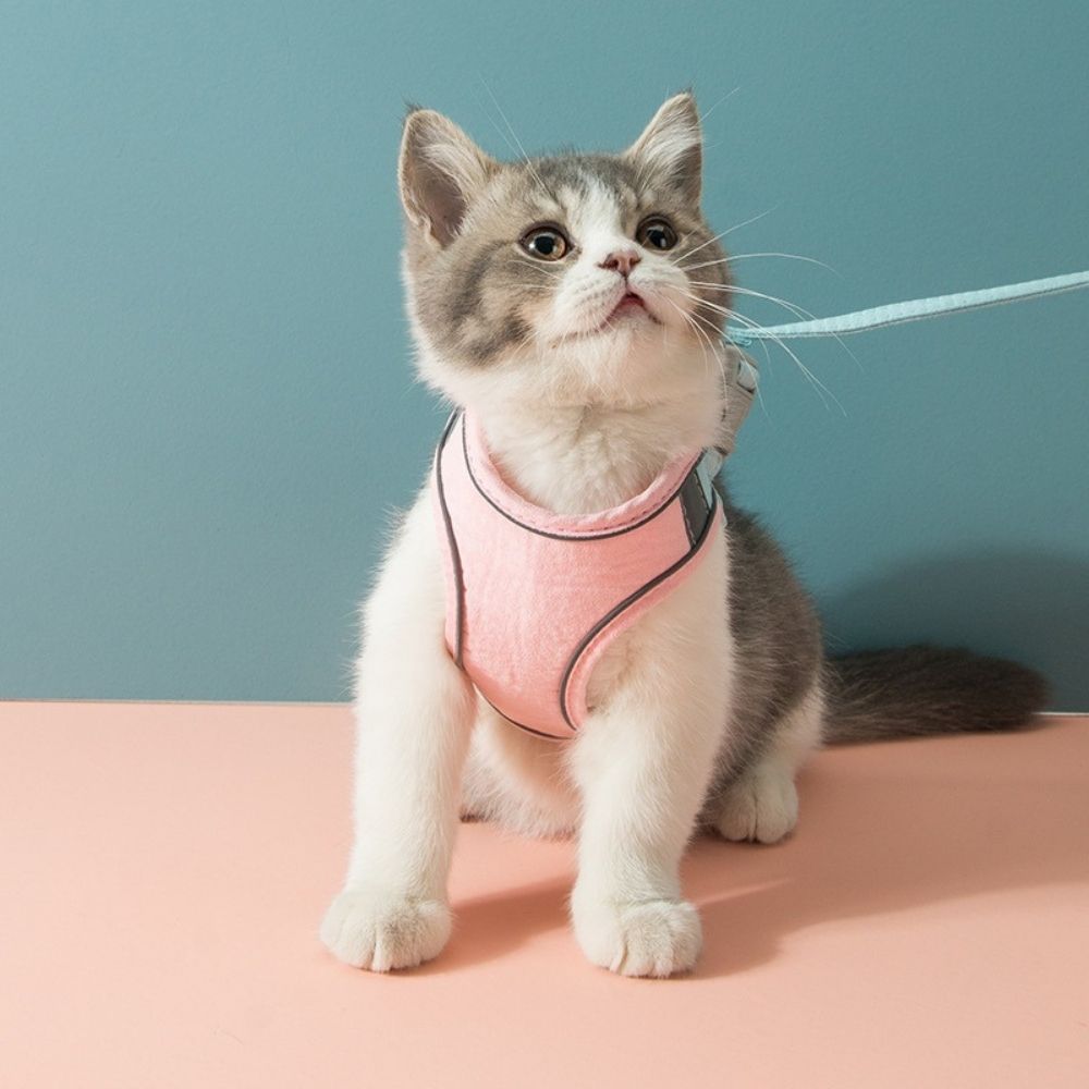 "Verstelbaar kattentuigje Oscar, ontsnappingsvrij, met fluweelzachte ademende stof in diverse stijlvolle kleuren."