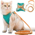 Oranje | Teal