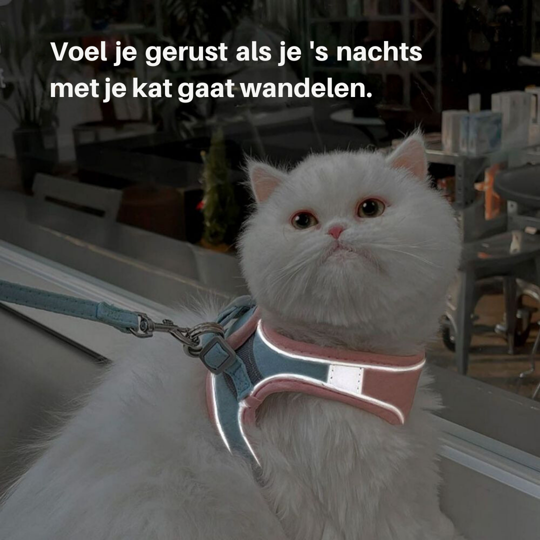 "Verstelbaar kattentuigje Oscar, ontsnappingsvrij, met fluweelzachte ademende stof in diverse stijlvolle kleuren."