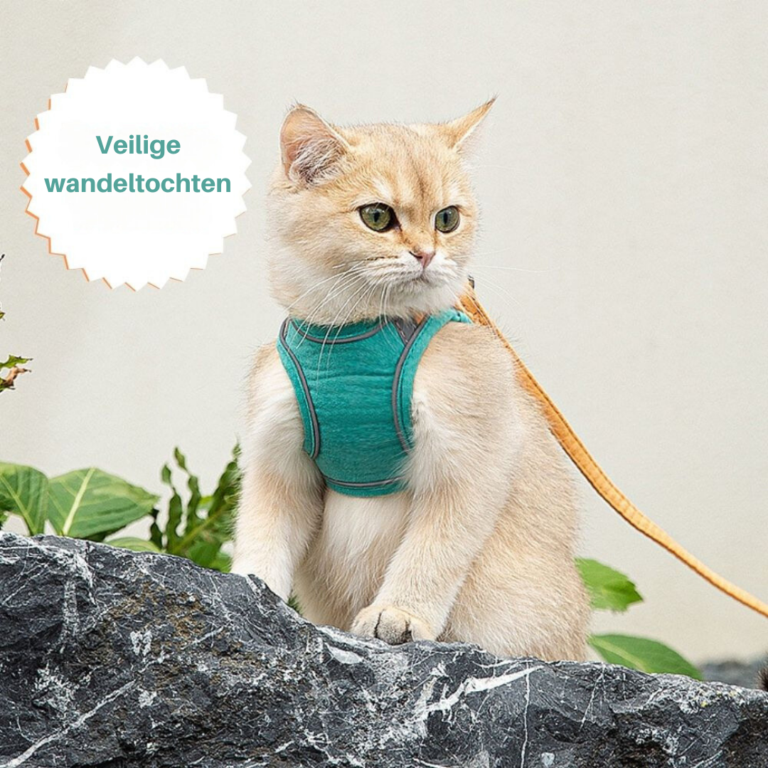 "Verstelbaar kattentuigje Oscar, ontsnappingsvrij, met fluweelzachte ademende stof in diverse stijlvolle kleuren."