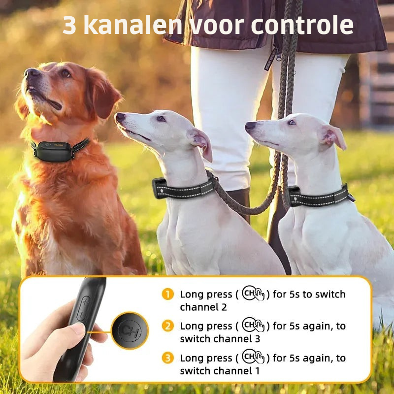 Oplaadbare hondentrainingshalsband, milieuvriendelijk en klaar voor lange sessies, met handige afstandsbediening.